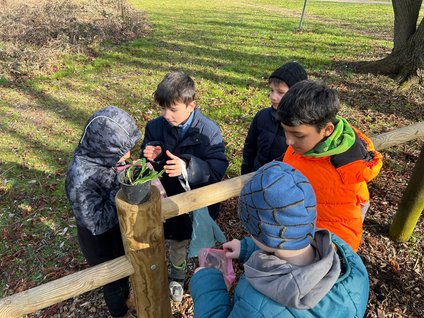 3a_b_Fruehlingsworkshop6