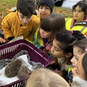 Igel3