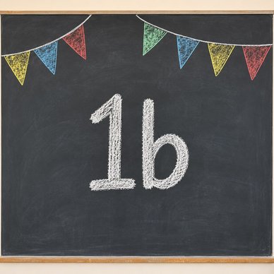 1b 1b