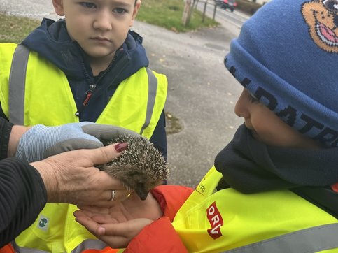Igelbesuch18