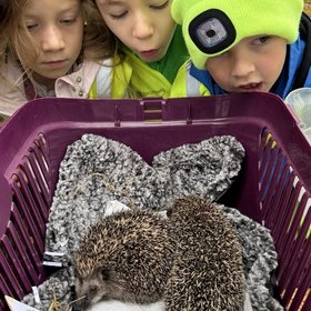 Igel10