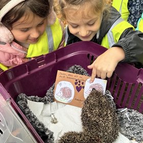 Igel9