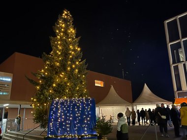 Adventmarkt4