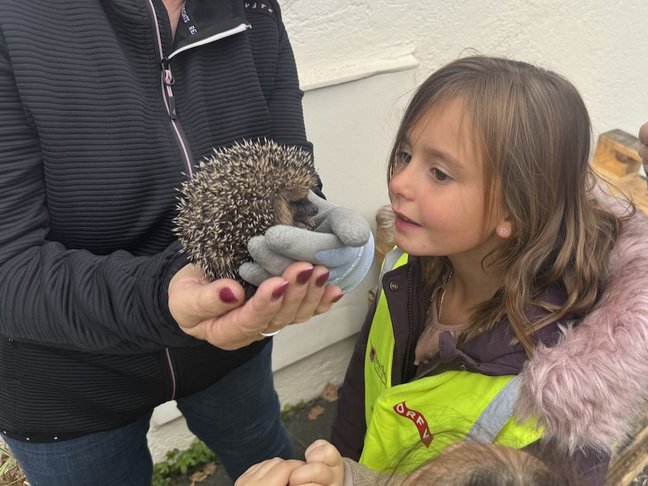 Igelbesuch15