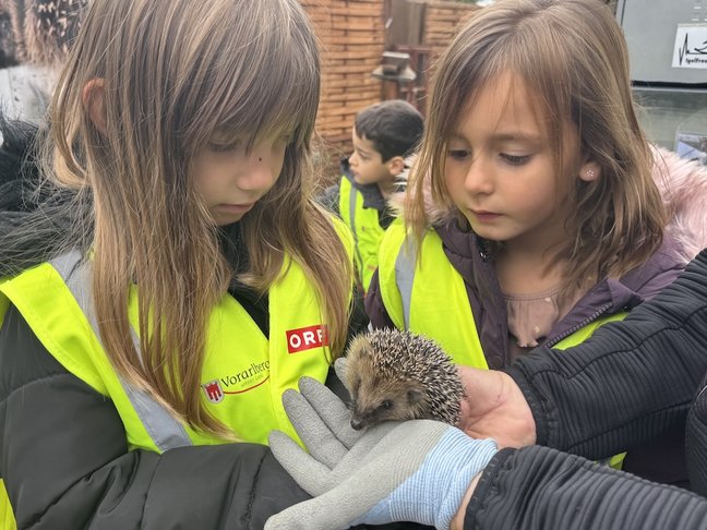 Igelbesuch21