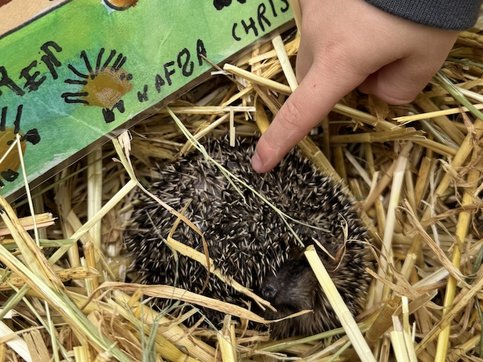 Igelbesuch32