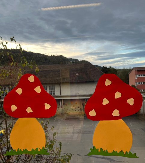 Pilz